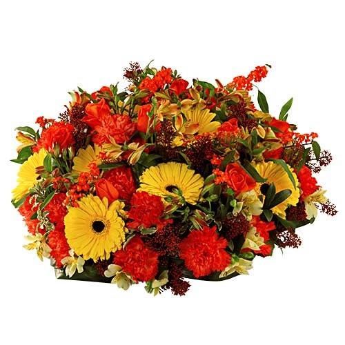 COUSSIN ETERNEL