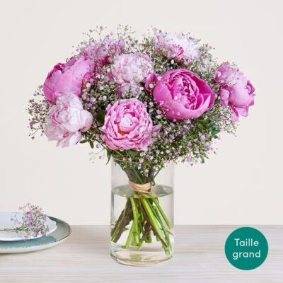 Nos Belles Pivoines
